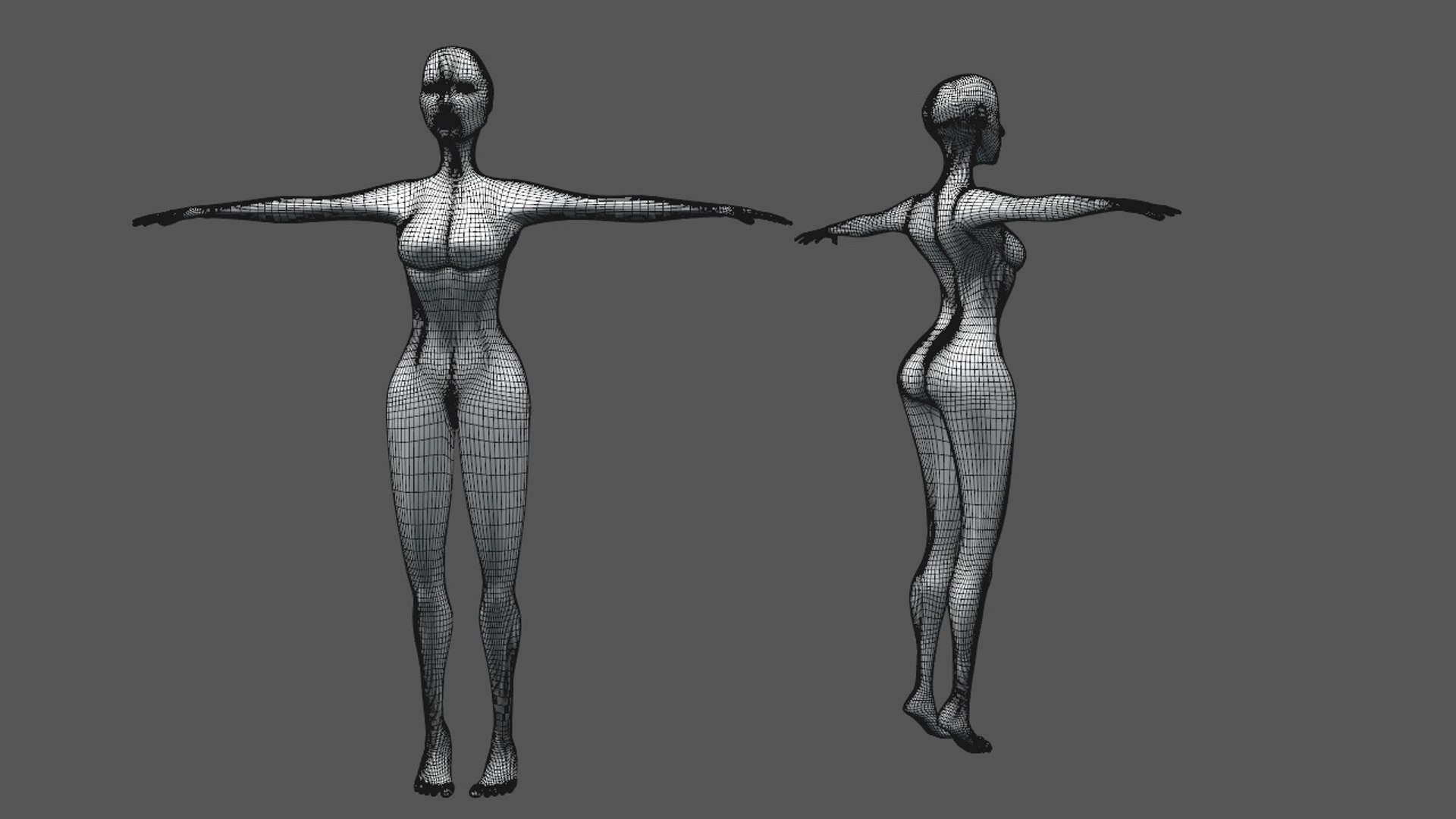 3d Model Of Female Body Meshes