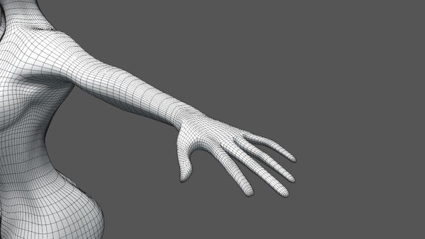 3d model of female body meshes