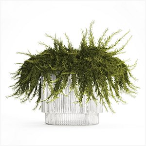 3D model Realistic flower bouquet green juniper branches glass vase 655