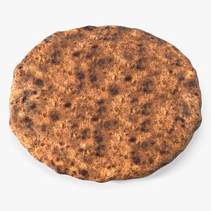 3D Grilled Beef Burger Patty