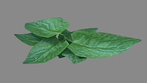 plant climbing 3d 3ds