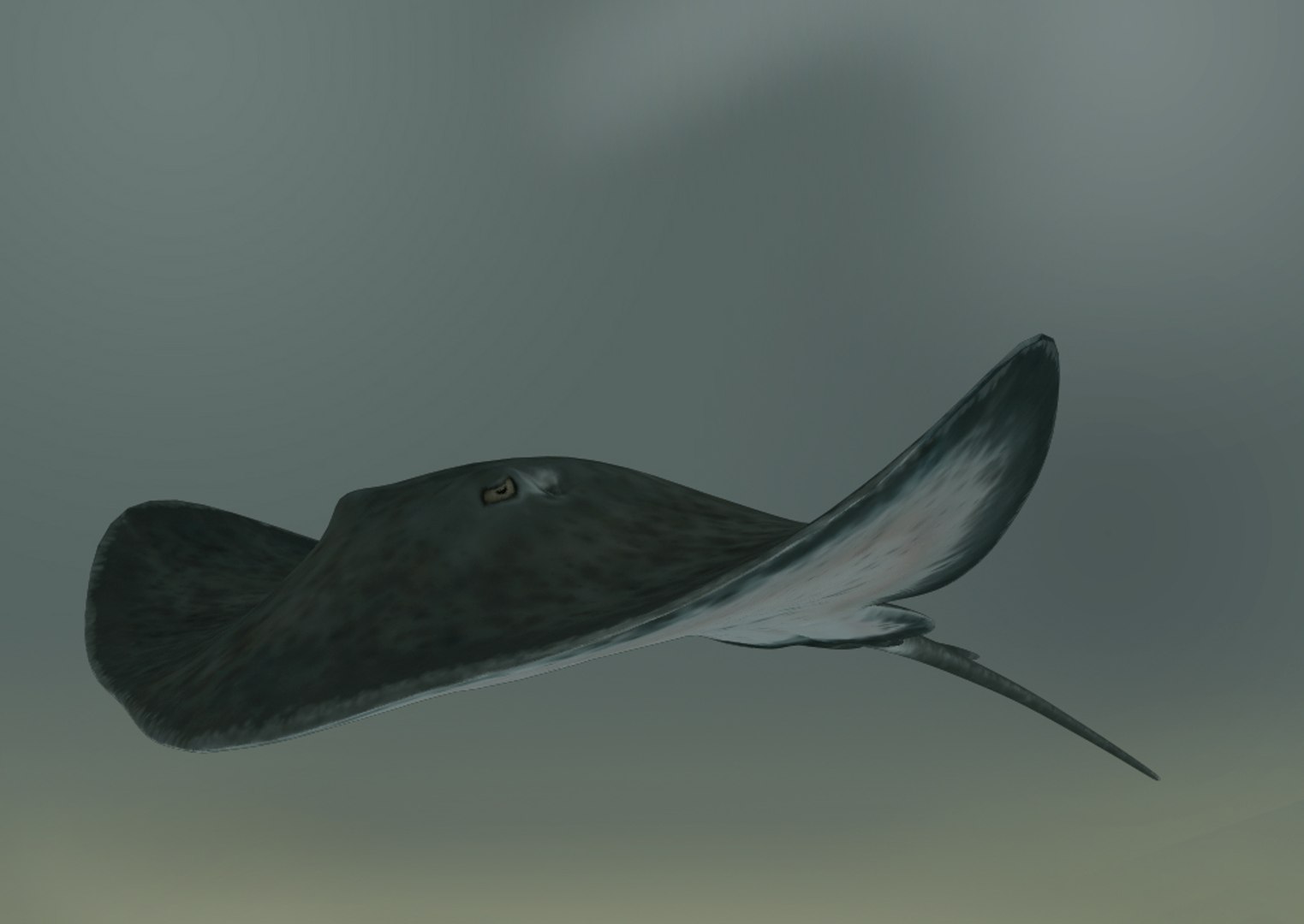 Stingray Customized Rig Sets 3d Model