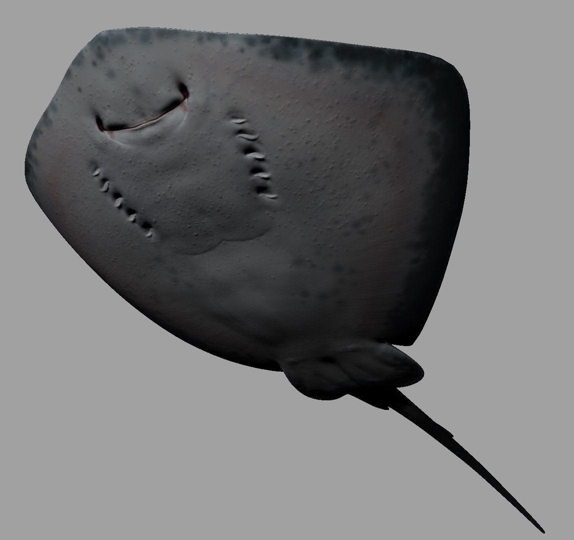 Stingray Customized Rig Sets 3d Model
