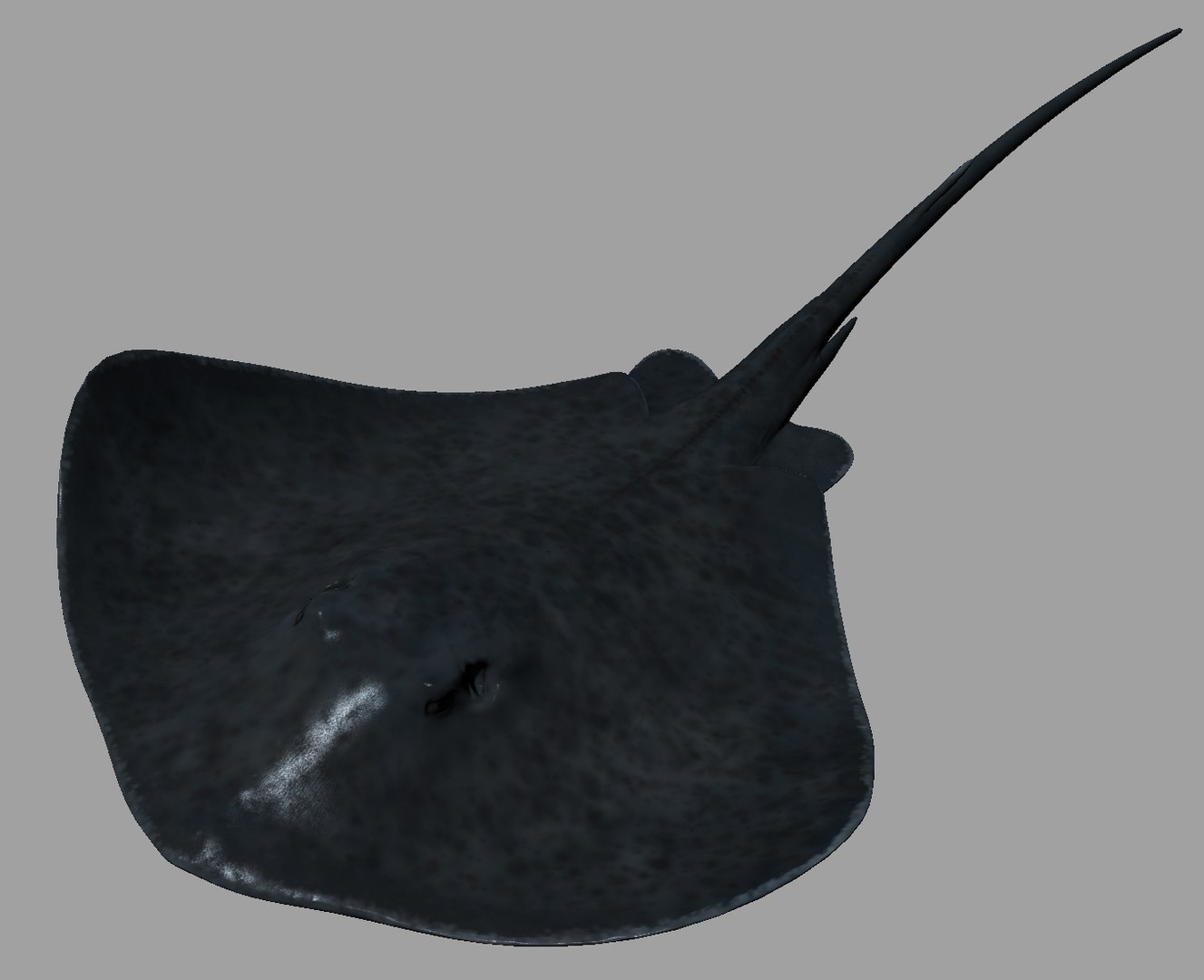 Stingray Customized Rig Sets 3d Model