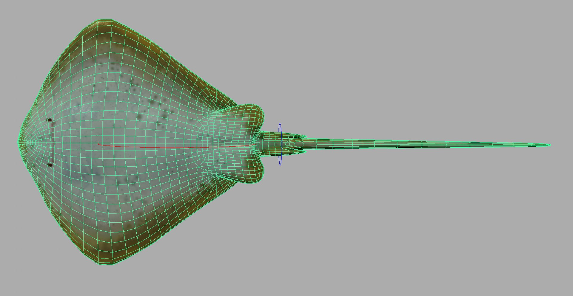 Stingray Customized Rig Sets 3d Model