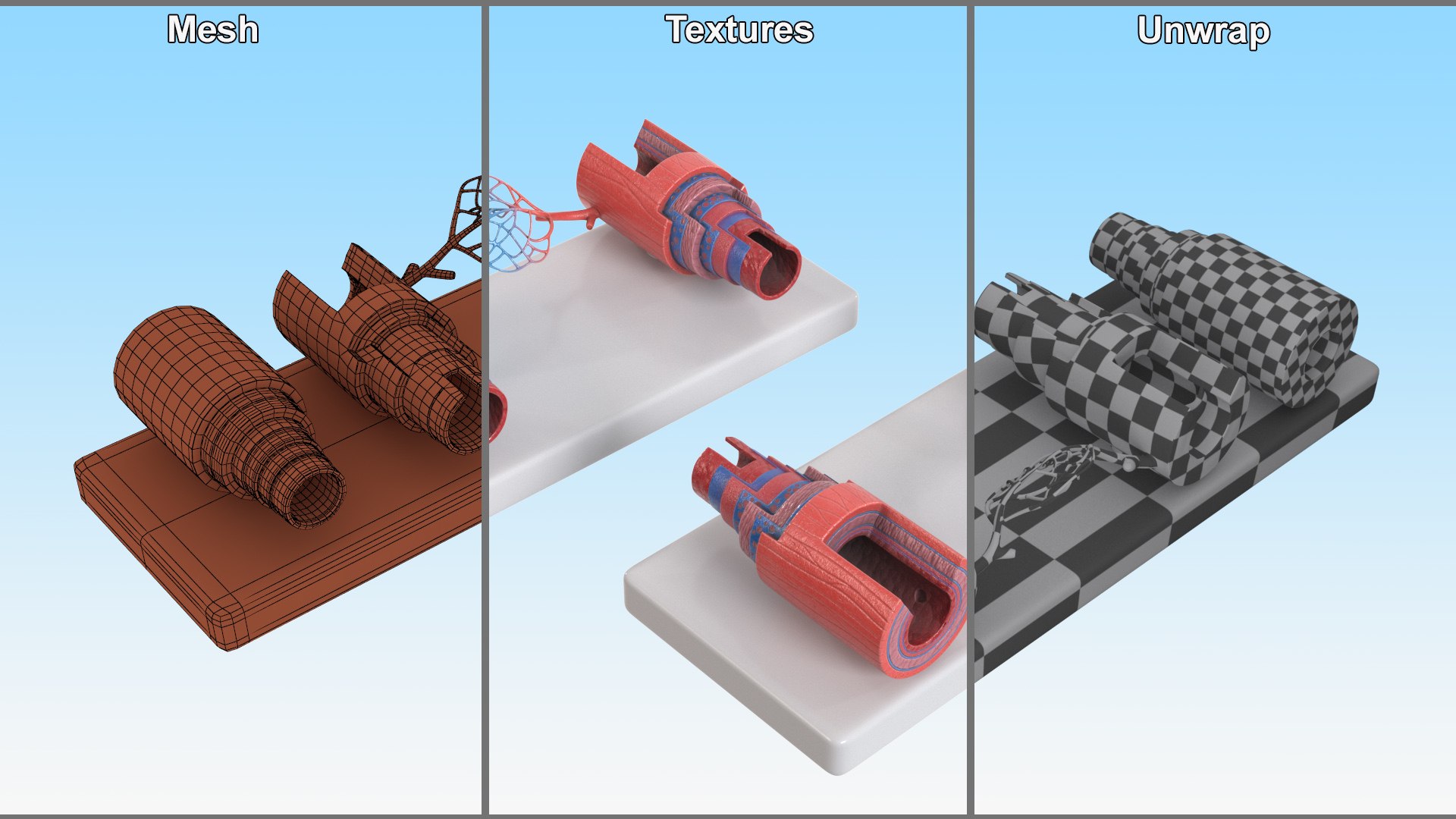 Model of Blood Vessels and Artery in Section 3D model https://p.turbosquid.com/ts-thumb/bO/nqMIDv/ME/model_of_blood_vessels_and_artery_in_section_009/jpg/1744039358/1920x1080/fit_q87/41fc78867110d251a921a99ef3857ef8dedfc05a/model_of_blood_vessels_and_artery_in_section_009.jpg