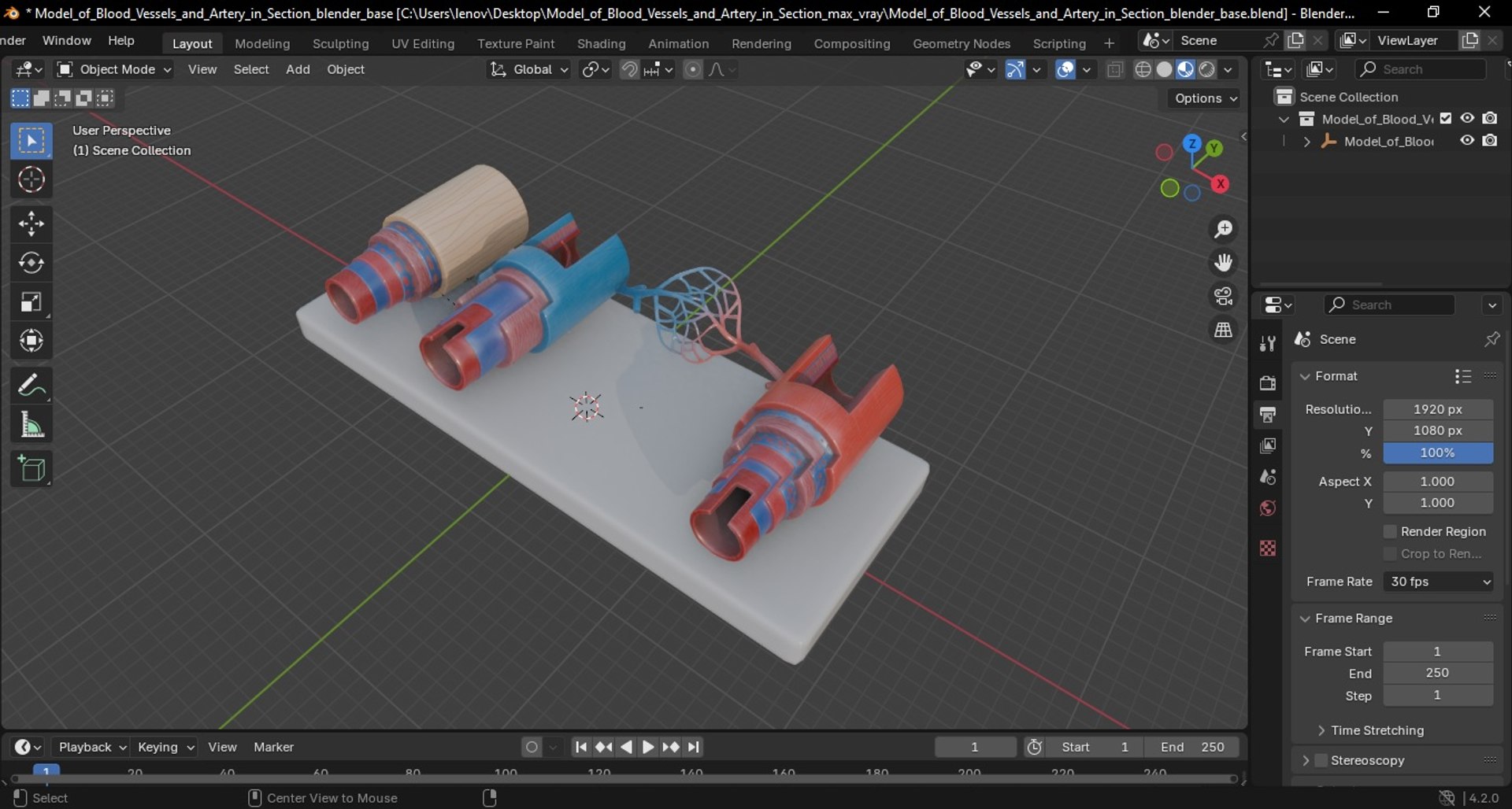 Model of Blood Vessels and Artery in Section 3D model https://p.turbosquid.com/ts-thumb/bO/nqMIDv/fN/model_of_blood_vessels_and_artery_in_section_1010/jpg/1744039397/1920x1080/fit_q87/cb16c34b69271797211419d45eeb28f00b400107/model_of_blood_vessels_and_artery_in_section_1010.jpg