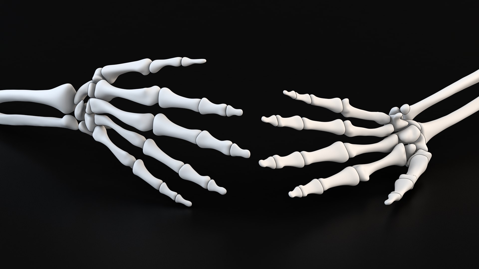 3D Skeleton Arm - TurboSquid 2297772