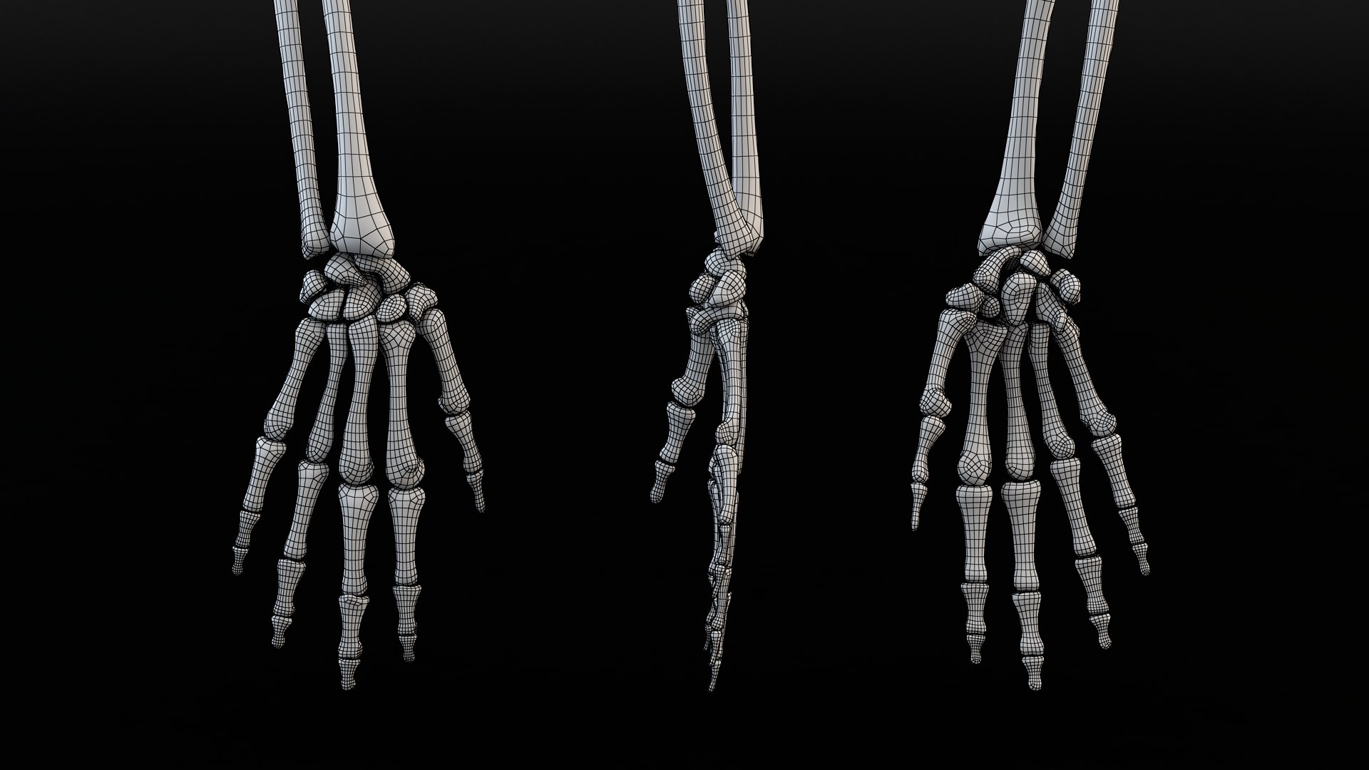 3D Skeleton Arm - TurboSquid 2297772