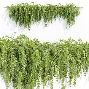 Hanging Wall Plants N43305 3D