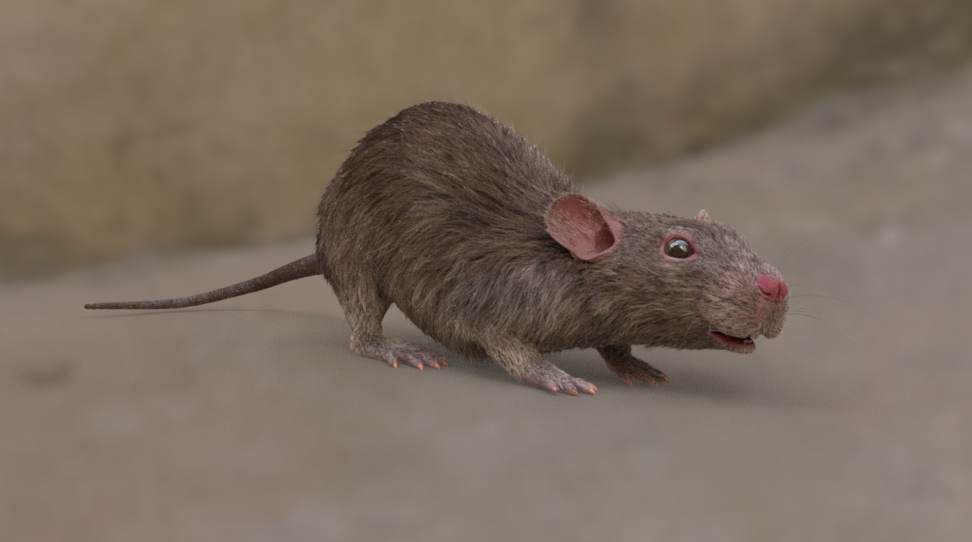 Rat Rig 3D - TurboSquid 1368176