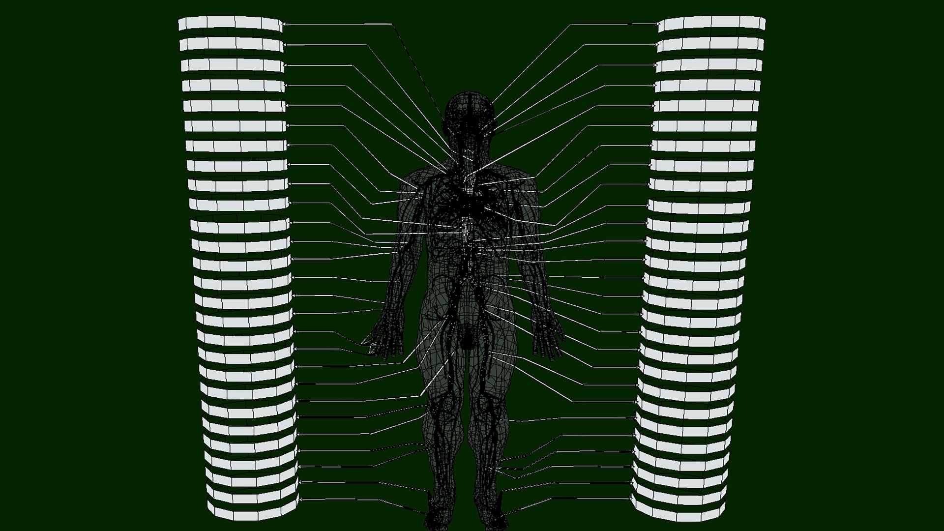 Circulatory System Human Anatomy 3D https://p.turbosquid.com/ts-thumb/bO/yZTpPG/Mk/circulatorysystemhumananatomybysrikanthchandanala10/png/1700717072/1920x1080/fit_q87/c8f77b0f1c450d41cbc7f497de453e2c1d3439f0/circulatorysystemhumananatomybysrikanthchandanala10.jpg