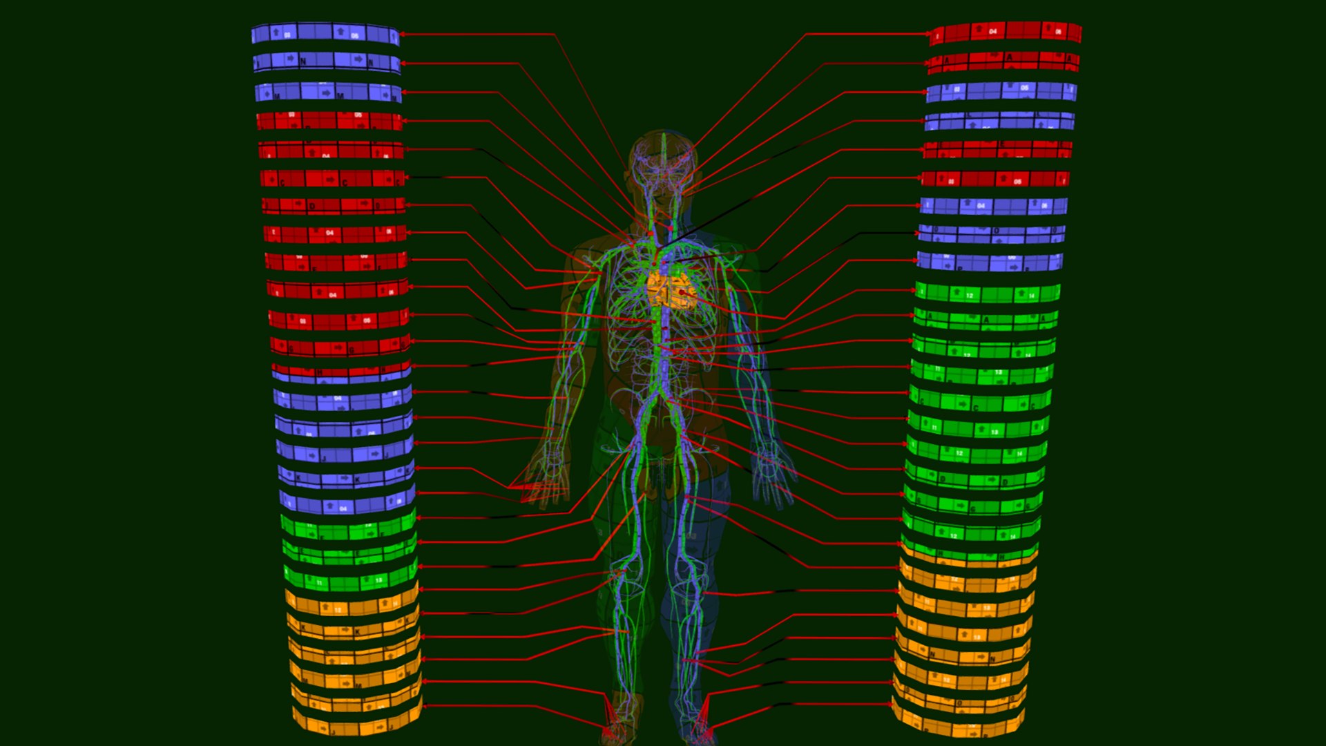 Circulatory System Human Anatomy 3D https://p.turbosquid.com/ts-thumb/bO/yZTpPG/bH/circulatorysystemhumananatomybysrikanthchandanala11/png/1700717072/1920x1080/fit_q87/614a7d07511e926d0cb309815f1eb948a3b2f817/circulatorysystemhumananatomybysrikanthchandanala11.jpg