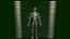 Anatomia Humana do Sistema Circulatório