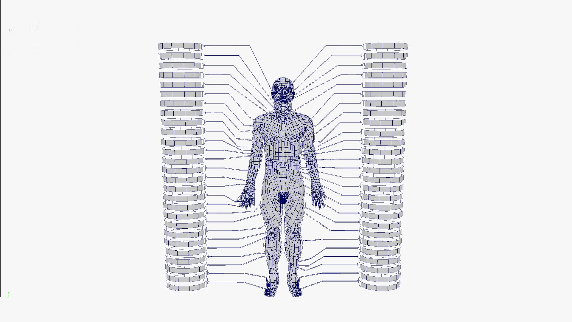 Circulatory System Human Anatomy 3D https://p.turbosquid.com/ts-thumb/bO/yZTpPG/rh/circulatorysystemhumananatomybysrikanthchandanalathumbnailwireframe/png/1700717754/1920x1080/fit_q87/a8f3752326bfb86bba808dd88711e208d8c32e4f/circulatorysystemhumananatomybysrikanthchandanalathumbnailwireframe.jpg