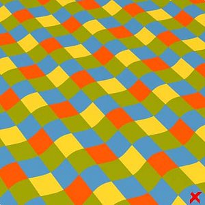 Floor018_max