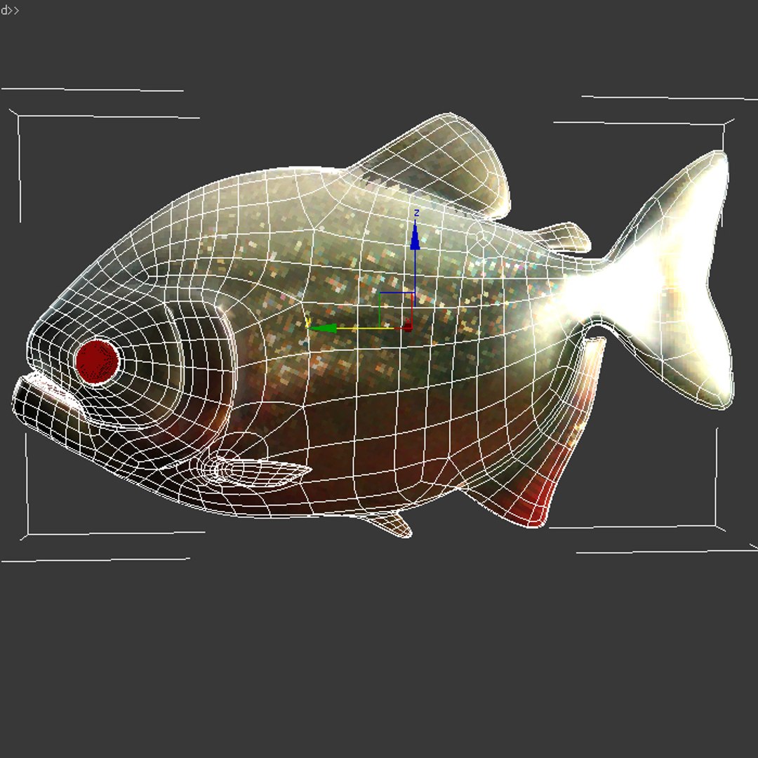 3d Piranha Fish