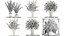 Collection of bouquets 30 pieces