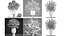Collection of bouquets 30 pieces
