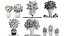 Collection of bouquets 30 pieces