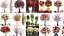Collection of bouquets 30 pieces