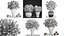 Collection of bouquets 30 pieces