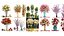 Collection of bouquets 30 pieces