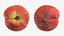 Peach Fruit Collection