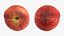 Peach Fruit Collection
