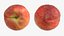 Peach Fruit Collection