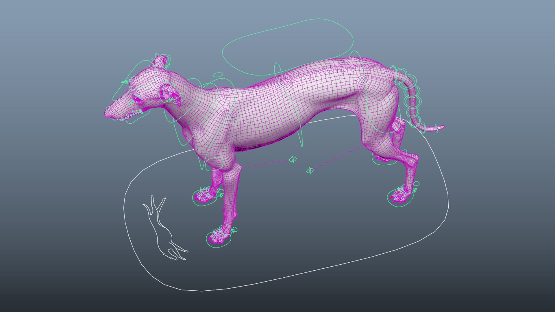 Realistic greyhound fur 2 3D model - TurboSquid 1547638