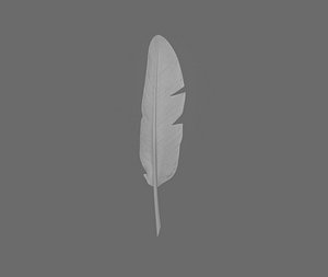 Quill