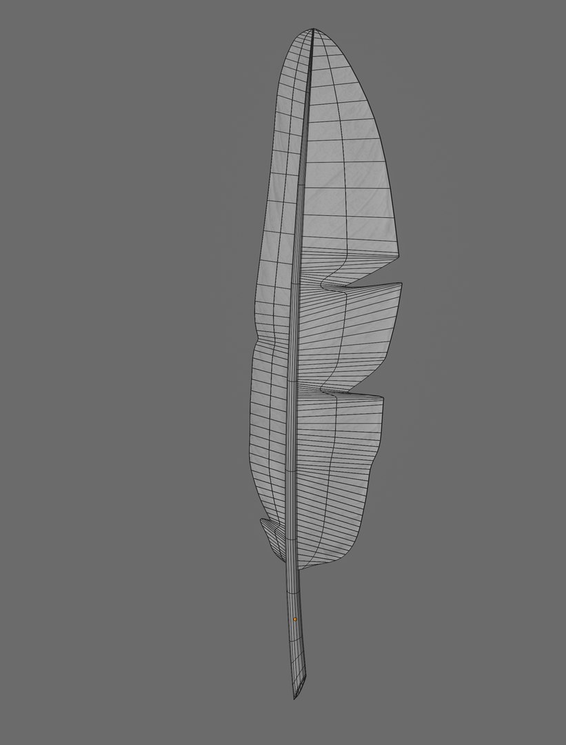 3D quill model https://p.turbosquid.com/ts-thumb/bP/RwKWGQ/Ov/screenshot20201208at11.05.57am/png/1607765284/1920x1080/fit_q87/d76f46cba98e0249ebc43c8d1e0a74940364cc65/screenshot20201208at11.05.57am.jpg