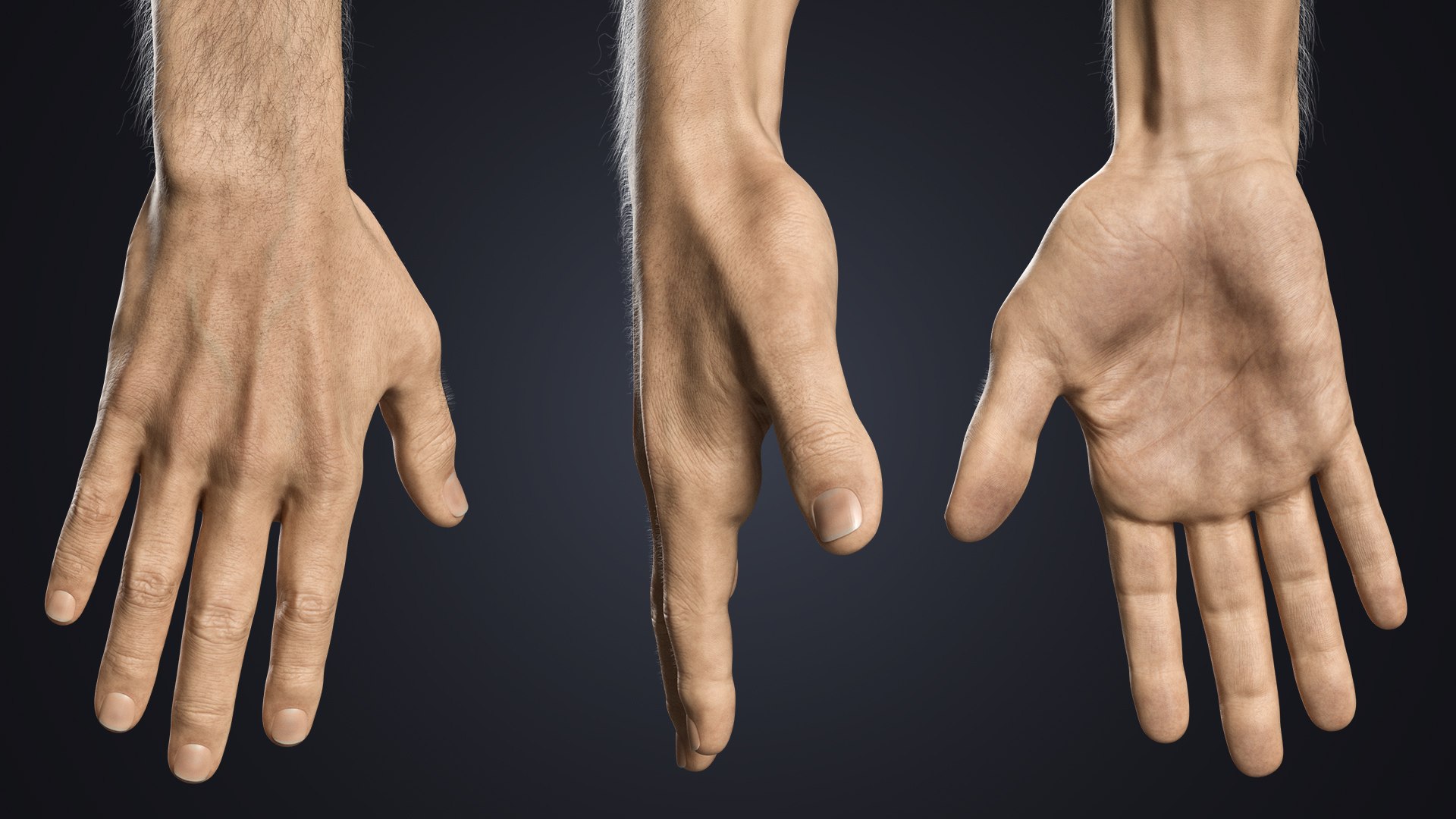 Hyper-Realistic Muscular Arms 3D https://p.turbosquid.com/ts-thumb/bP/ZWe0ws/7j/hand360/jpg/1770208147/1920x1080/fit_q87/60a57a8a861fdcc22992bda20f275d73bf3a61b1/hand360.jpg