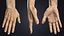 V-ARM 01 Realistic Male Hands