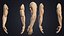 V-ARM 01 Realistic Male Hands