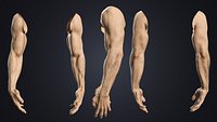 V-ARM 01 Realistic Male Hands