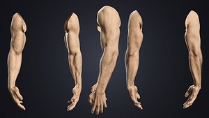 V-ARM 01 Realistic Male Hands