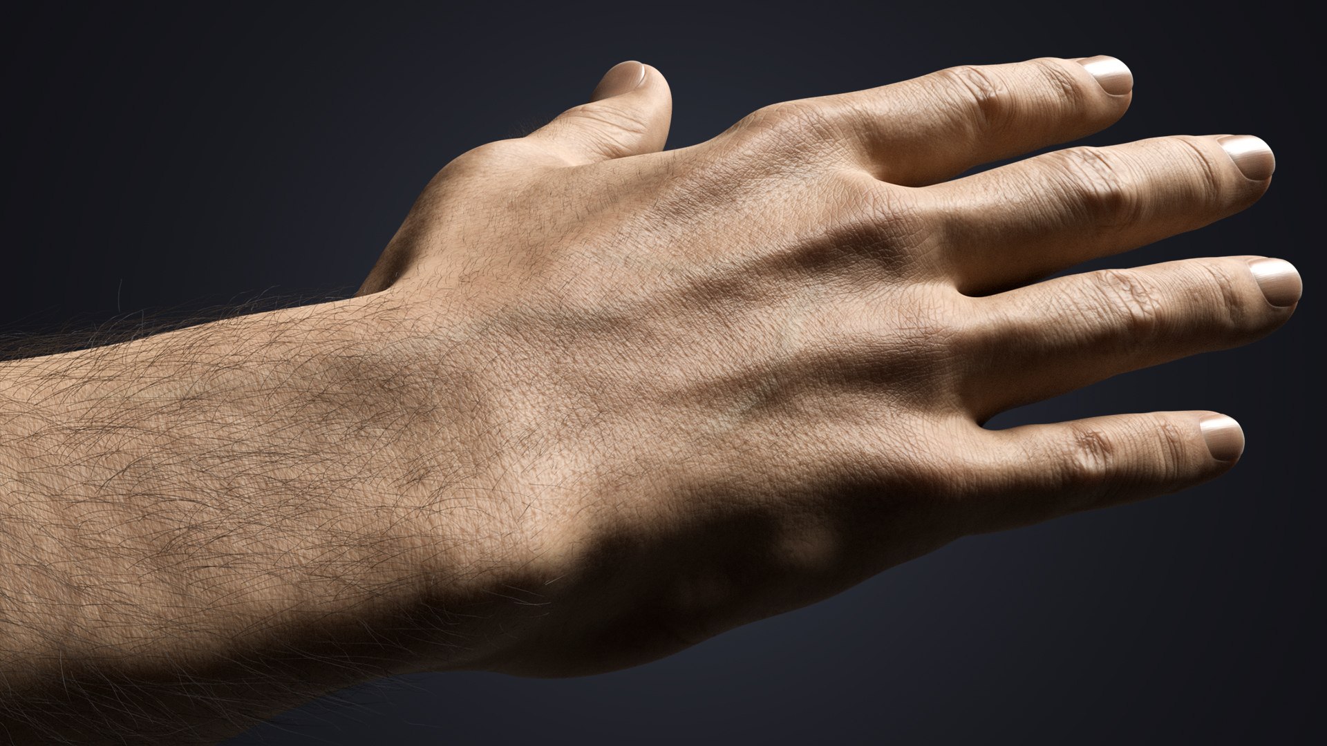 Hyper-Realistic Muscular Arms 3D https://p.turbosquid.com/ts-thumb/bP/ZWe0ws/Q6/detail1/jpg/1770208144/1920x1080/fit_q87/75d0dcd3fe56beefa482a0e309a3231a8d3304b5/detail1.jpg