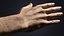 V-ARM 01 Realistic Male Hands