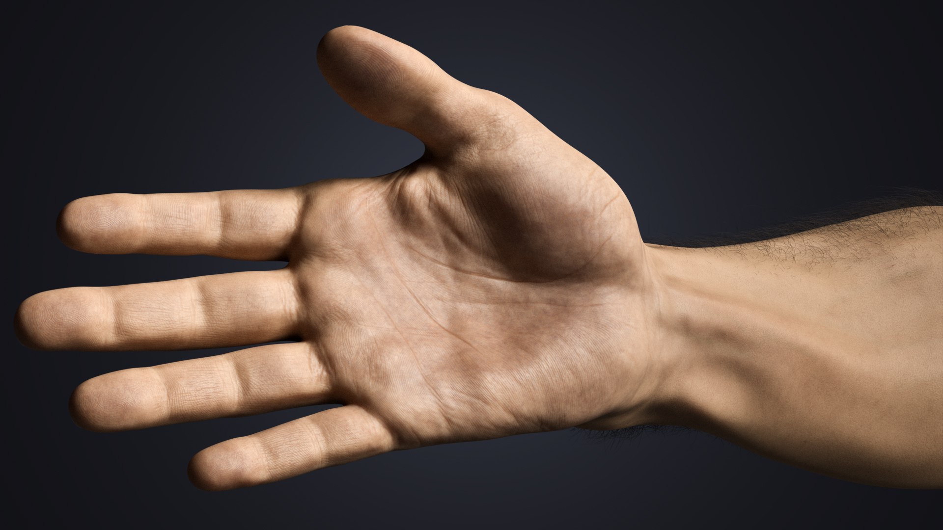 Hyper-Realistic Muscular Arms 3D https://p.turbosquid.com/ts-thumb/bP/ZWe0ws/RR/detail4/jpg/1770208146/1920x1080/fit_q87/a6ca5d27a21fe4ba2febaa43a763ae46bffbf069/detail4.jpg
