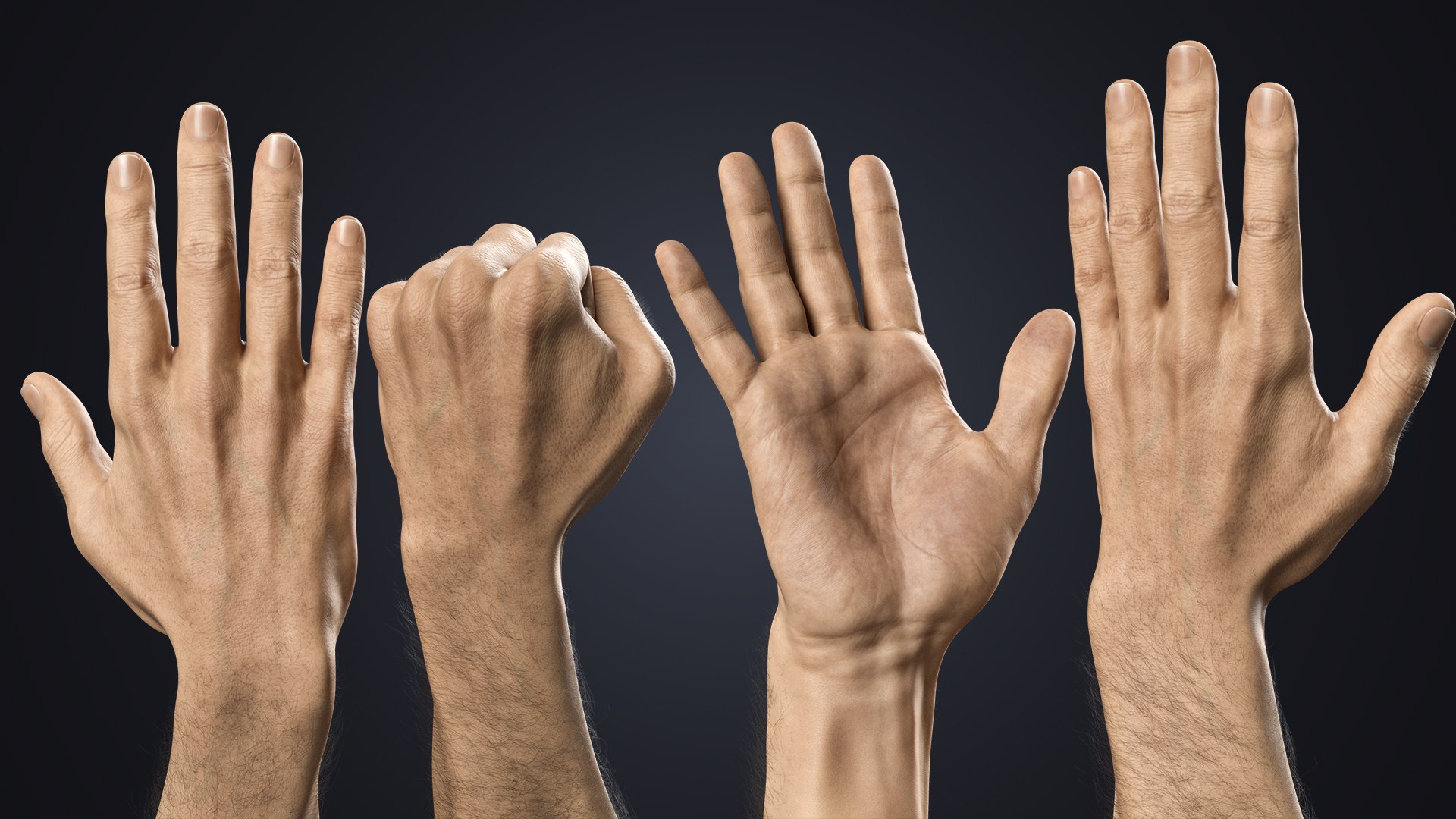Hyper-Realistic Muscular Arms 3D https://p.turbosquid.com/ts-thumb/bP/ZWe0ws/jO/palmfist/jpg/1770208148/1920x1080/fit_q87/77f210ebbff4daa03641349dcb5d9a660e072b98/palmfist.jpg
