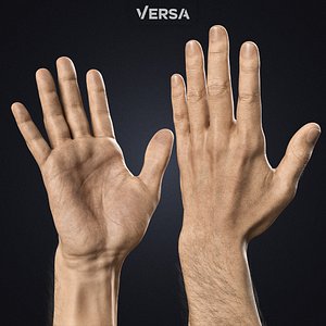 Hyper-Realistic Muscular Arms 3D