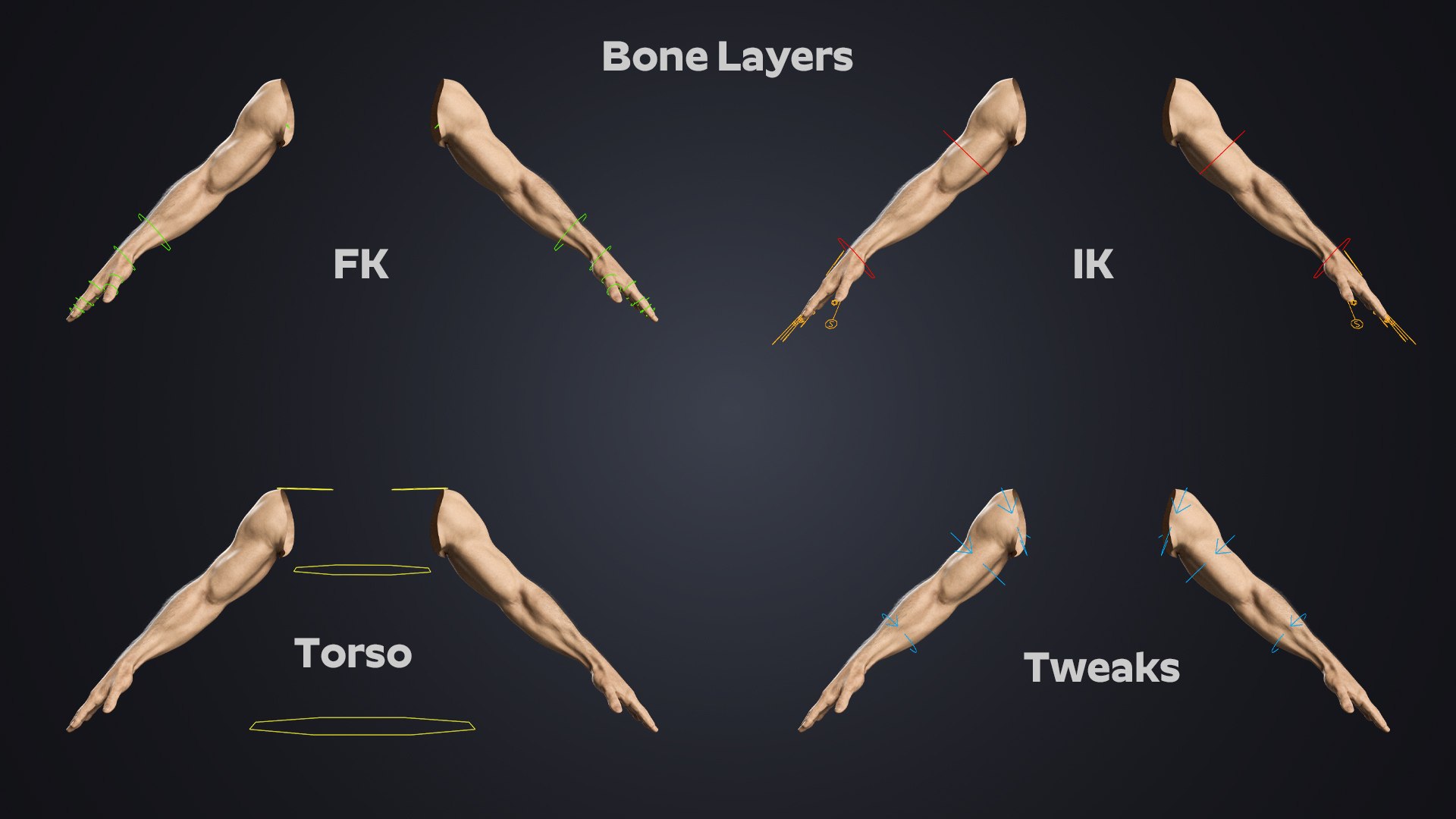 Hyper-Realistic Muscular Arms 3D https://p.turbosquid.com/ts-thumb/bP/ZWe0ws/kA/bonelayers/jpg/1770208144/1920x1080/fit_q87/9eafec87a2566ddc1a9f2c52d9f7619a6468e395/bonelayers.jpg