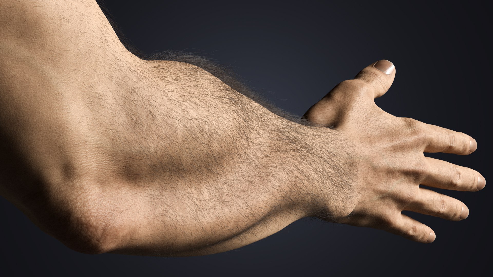 Hyper-Realistic Muscular Arms 3D https://p.turbosquid.com/ts-thumb/bP/ZWe0ws/u2/detail3/jpg/1770208145/1920x1080/fit_q87/2260b75171983a6b1ab892e40ed7a731b305ffd2/detail3.jpg