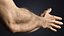 V-ARM 01 Realistic Male Hands