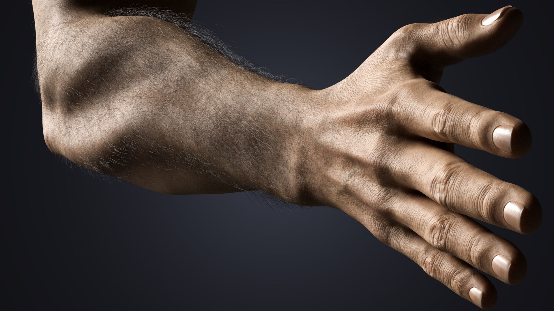 Hyper-Realistic Muscular Arms 3D https://p.turbosquid.com/ts-thumb/bP/ZWe0ws/ux/detail5/jpg/1770208146/1920x1080/fit_q87/d99bb4efb4a3c8d9ddaec1bccef54119ebe03abc/detail5.jpg
