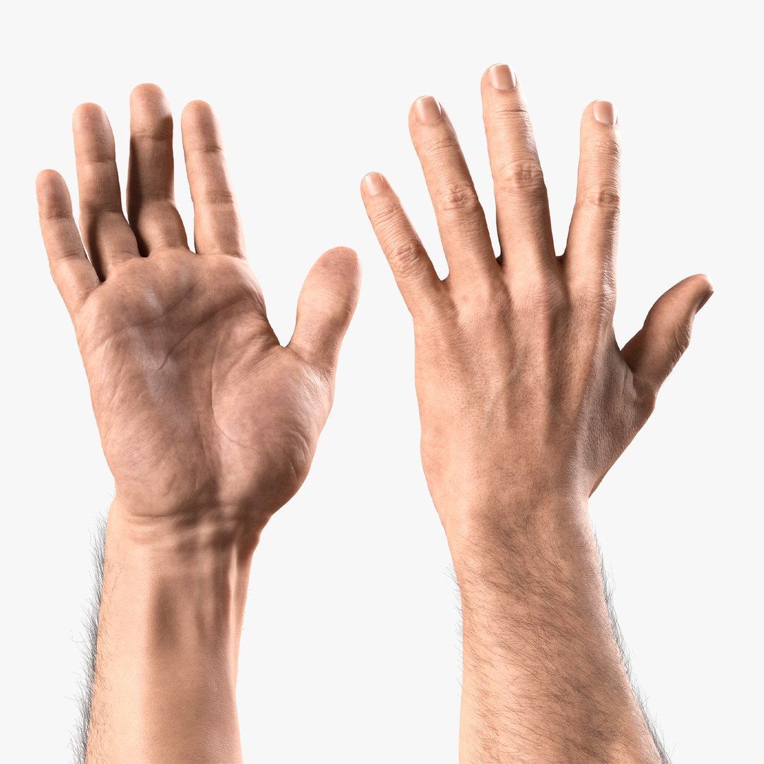 Hyper-Realistic Muscular Arms 3D https://p.turbosquid.com/ts-thumb/bP/ZWe0ws/wM/turbosquid/jpg/1775056774/1920x1080/fit_q87/31b4fc79a622cc945e8220847b5ebd2f68a7a0d7/turbosquid.jpg
