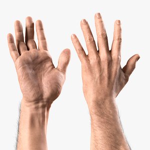 Hyper-Realistic Muscular Arms 3D