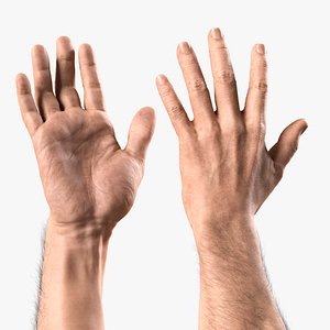V-ARM 01 Realistic Male Hands